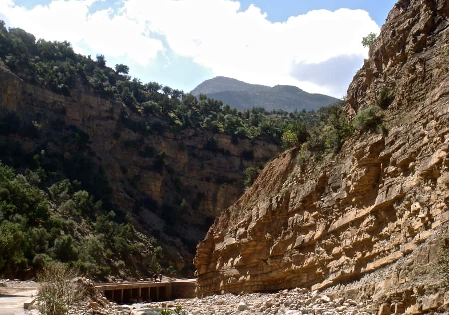 Agadir/Taghazout/Tamraght: Paradise Valley Best Tour - Who This Tour Suits Best (And Who Should Think Twice)