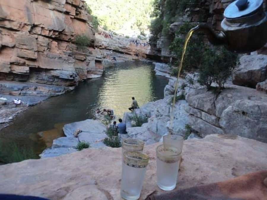Agadir/Taghazout/Tamraght: Paradise Valley Best Tour - From Agadir Hotels to Paradise Valley: The Morning Start