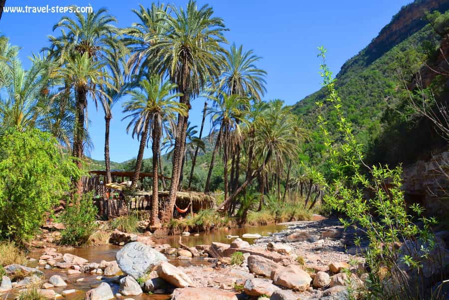 Agadir/Taghazout/Tamraght: Paradise Valley Best Tour - Entering Paradise Valley: The 30-Minute Hike That Sets the Pace
