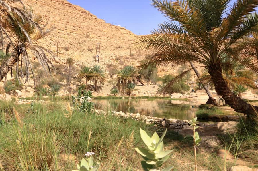 Agadir/Taghazout/Tamraght: Paradise Valley Best Tour - What to Pack (So the Day Feels Easy)