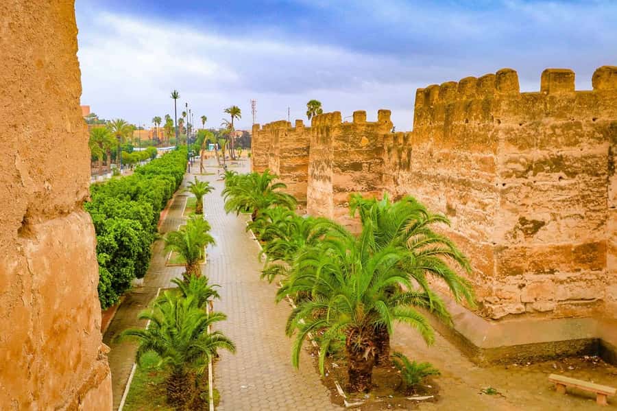 Agadir: Taroudant Oasis and Tiout Day Trip with Lunch Option - Key moments that make the trip worth it
