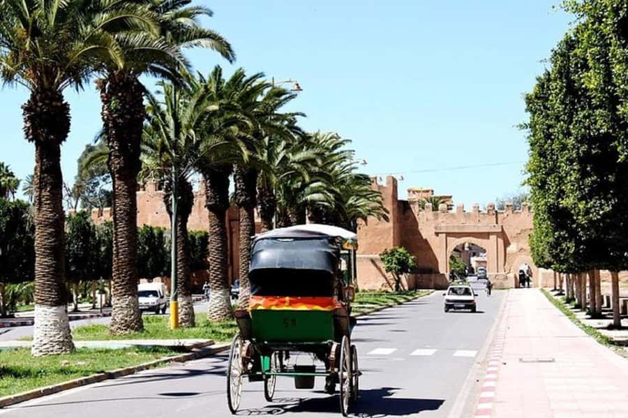 Agadir: Taroudant Oasis and Tiout Day Trip with Lunch Option - Should you book the Agadir: Taroudant Oasis and Tiout day trip?