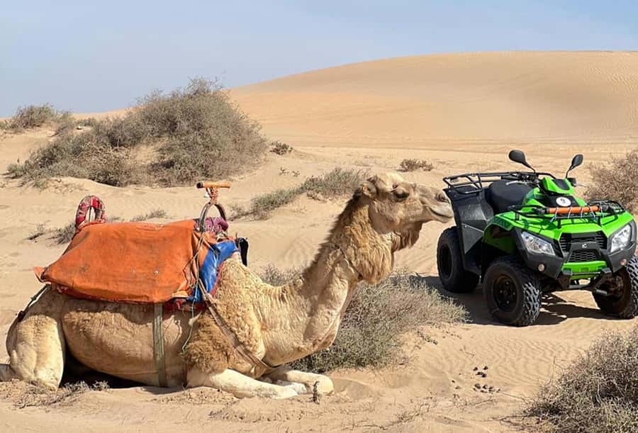 Agadir to Tifnit Desert: Quad Biking Tour with Sandboarding - Practical Tips That Make the Day Easier