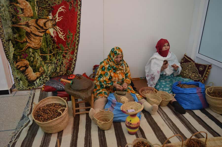 Agadir: Visit National park & Sahara Desert Including Lunch - Sidi Rbat Wild Beach and the Off-Road Feeling