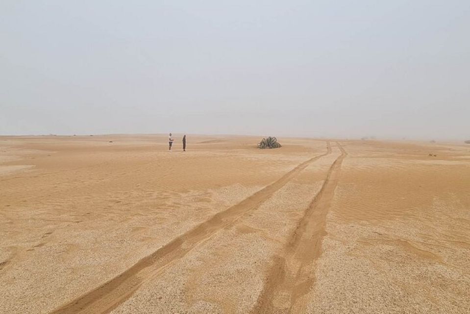 Agadir: Visit National park & Sahara Desert Including Lunch - The Dam Viewpoints and Anti-Atlas Mountains: Where the Day Lands