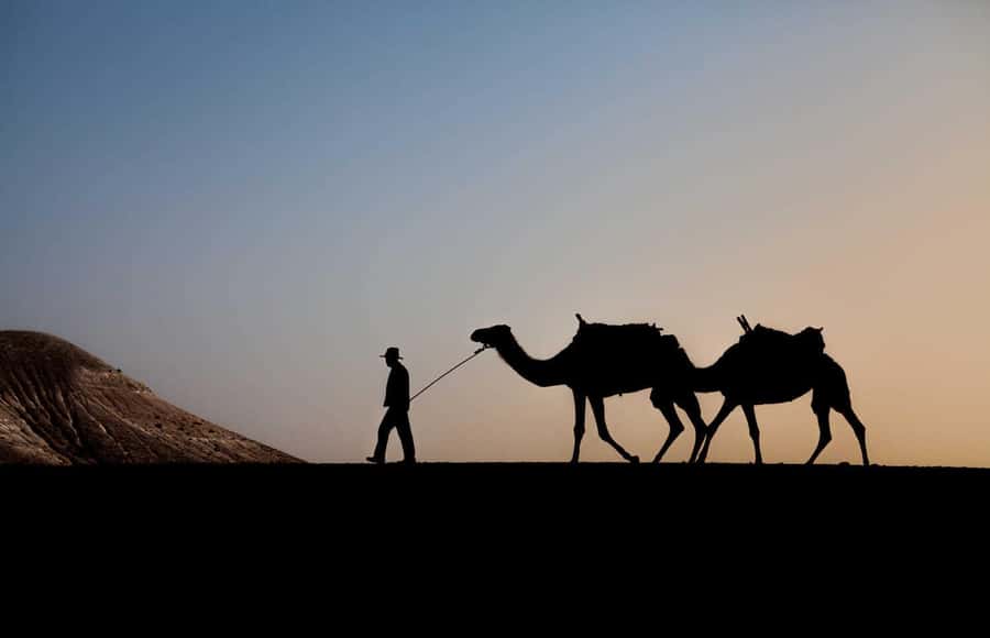 Agafay and atlas: Quad and camel experience - Price vs value: what makes it a good deal