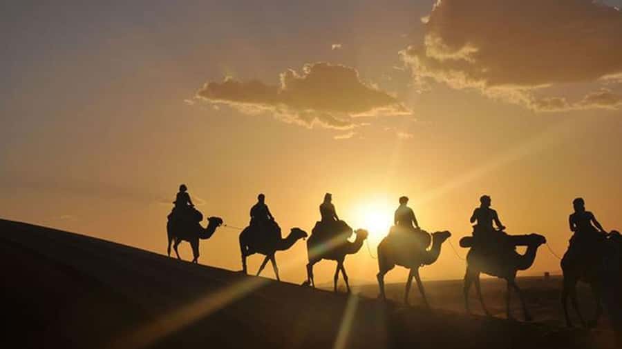 Agafay and atlas: Quad and camel experience - Who should book this, and who should skip it