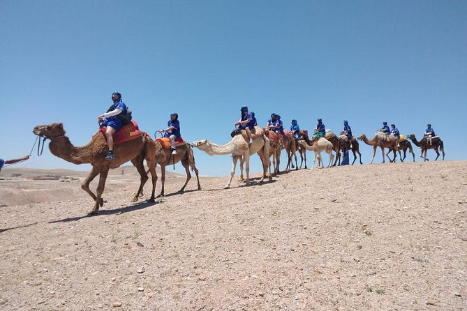 Agafay camel ride - Key Highlights You’ll Actually Care About