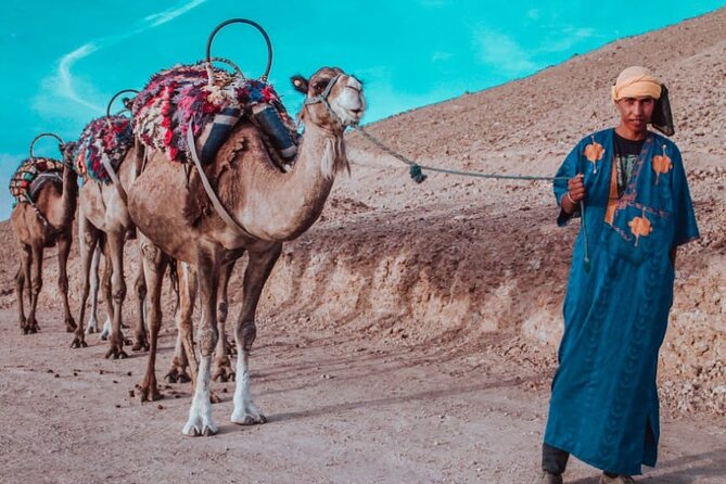 Agafay camel ride - Agafay Desert Camel Ride: A Quick Sahara-Style Day From Marrakech
