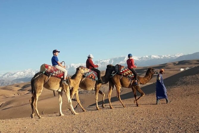 Agafay camel ride - Quick Tips to Make It Comfortable
