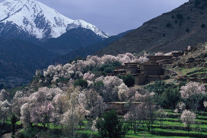 Agafay Camel Ride & Ourika Valley in Atlas mountains - The Atlas Mountains View Stop: Quick, But It Changes the Whole Day
