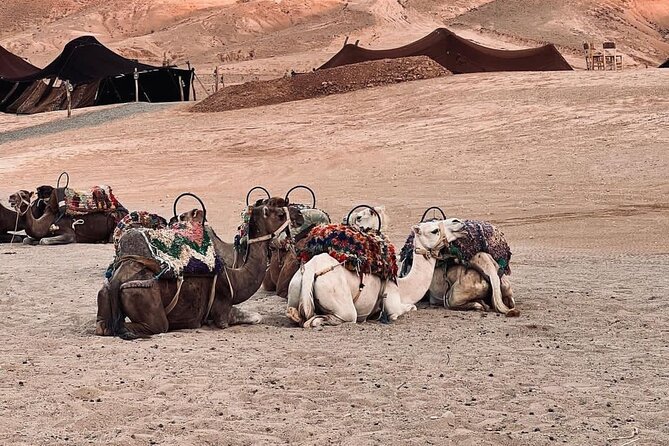 Agafay Camel Ride & Ourika Valley in Atlas mountains - Practical Tips That Keep the Day Comfortable