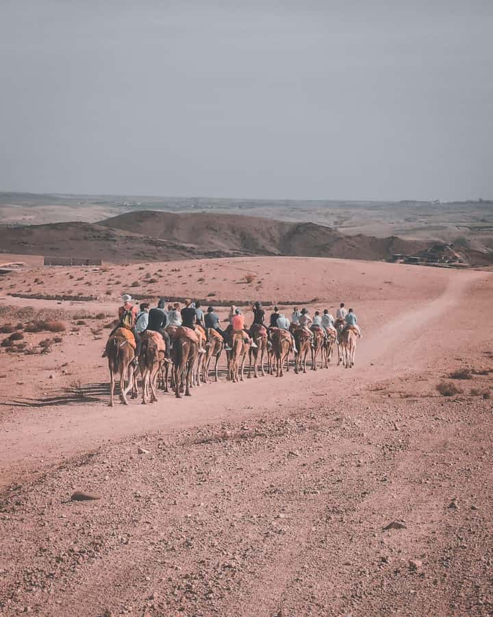 Agafay Desert: 30-Min Quad, Sunset Camel & Dinner - Quad Biking Across Agafay: Rules, Timing, and What to Expect