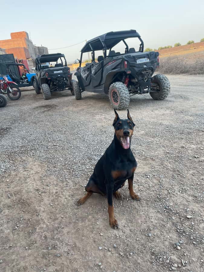 Agafay Desert 4-Seater Buggy Experience | Family & Premium - Price and Value: Is $70 per Person Worth It?