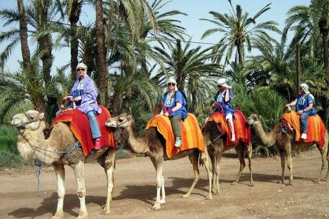 Agafay Desert Adventure, Culture, and Relaxation, From Marrakech - The Berber House Mint Tea Stop: Where the Day Gains Real Meaning