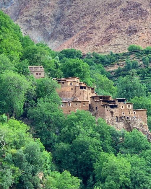 Agafay Desert & Atlas Mountain & Camel Ride Day Trip & Lunch - Should you book this day trip?