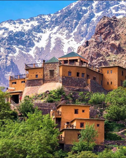 Agafay Desert & Atlas Mountain & Camel Ride Day Trip & Lunch - Breakfast at an argan oil stop and the food rhythm of the day