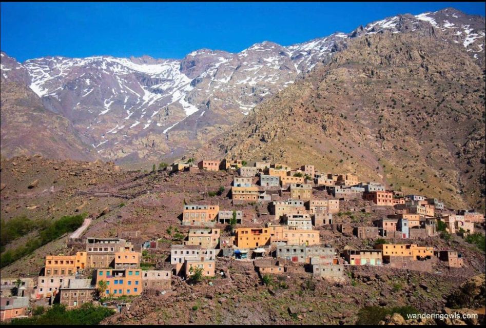 Agafay Desert & Atlas Mountain & Camel Ride Day Trip & Lunch - Timing and logistics that can make or break your morning