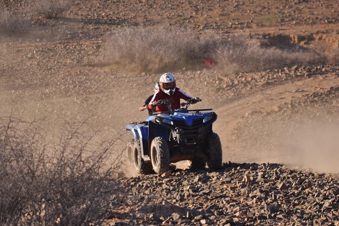 Agafay Desert & Atlas Mountains Quad Biking Tour from Marrakech - Eucalyptus forests and Berber villages: the scenery with a pulse