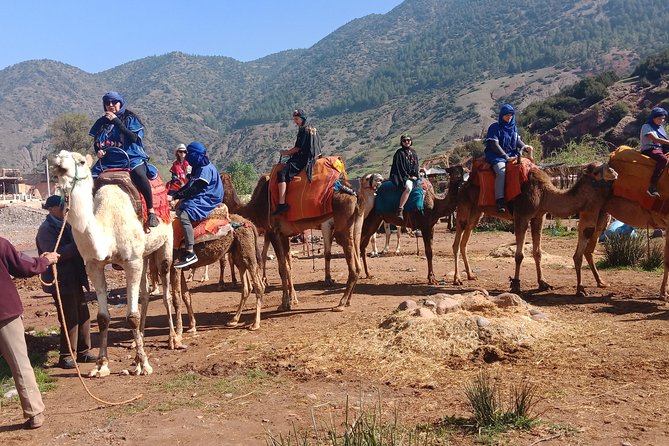 Agafay Desert: Camel ride, dinner and fire show - A smooth 5-to-6 hour Marrakech evening plan