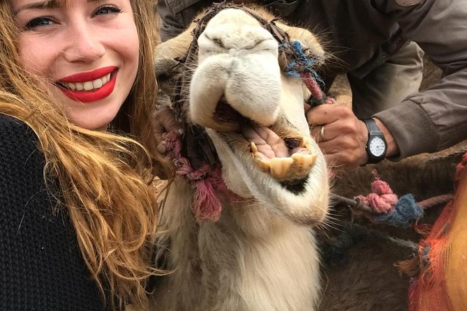 Agafay Desert: Camel ride, dinner and fire show - High Atlas to Agafay: how the scenery sets up the sunset