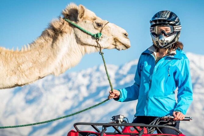Agafay Desert Camel Ride & Quad Bike - Key highlights at a glance