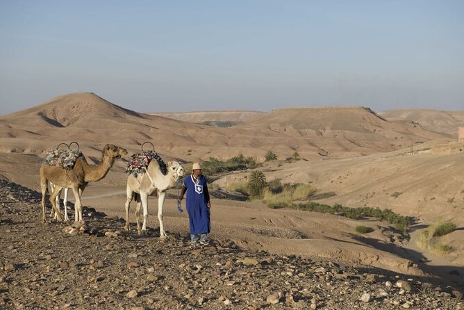 Agafay Desert Camel Ride & Quad Bike - How the full day flows: transfers, two activities, and the small group size