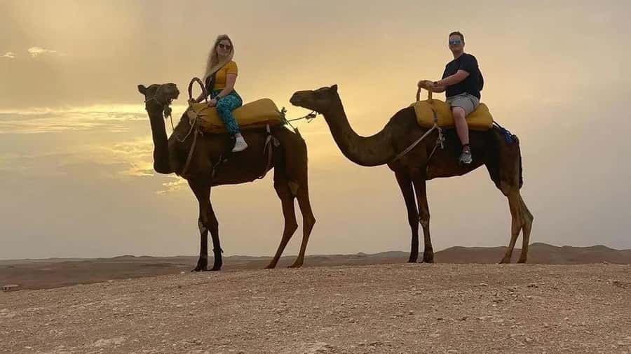Agafay Desert Camel Ride & Sunset & Dinner - Key points to know before you go