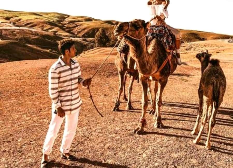 Agafay Desert Camel Ride & Sunset & Dinner - Welcoming Tea and the Camel Meet: The Moment the Evening Changes