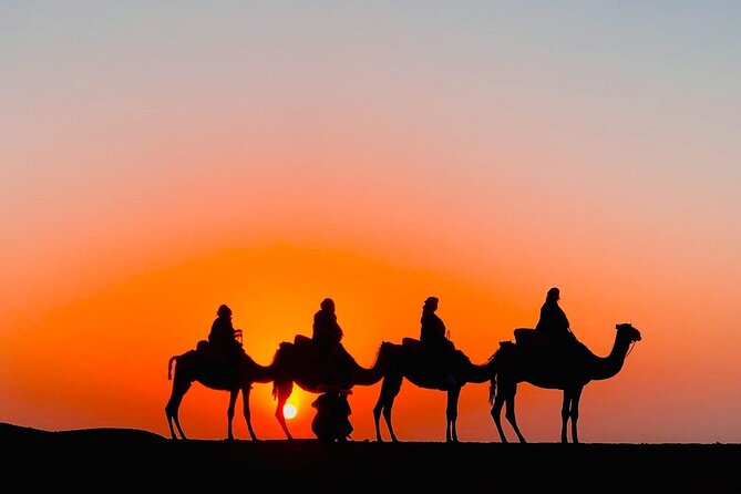 Agafay Desert Camel Ride with Dinner - Key things to know before you go