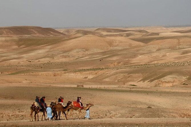 Agafay Desert Camel Ride With Dinner And Sunset Spectacle - How Much Is $69.79 Actually Buying You?