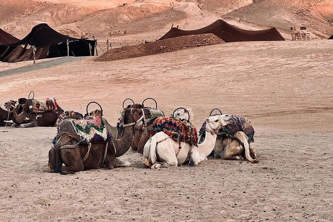 Agafay Desert Camel Ride With Dinner And Sunset Spectacle - Packing and Practical Tips for a Better Desert Evening