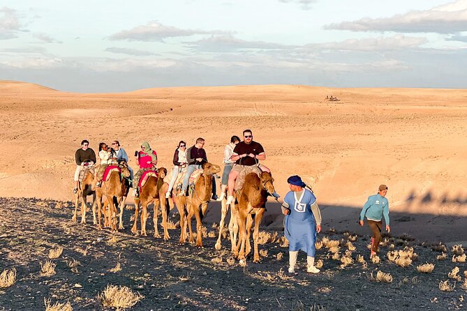 Agafay Desert: Camel Trek, Quad Biking Adventure, Dinner Show - Quad biking on Agafay terrain: real thrill time
