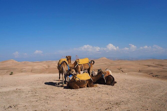 Agafay Desert Day Trip From Marrakech - Quads for an Hour: The Fun Switch After the Quiet