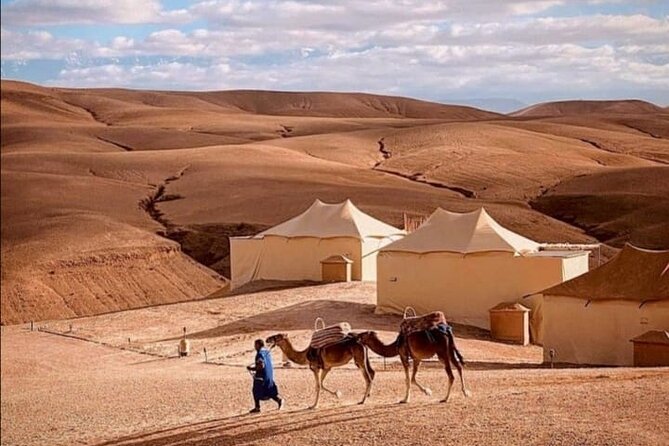 Agafay Desert Day Trip From Marrakech - Price and What You Get for About $87.11