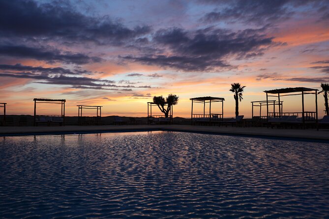 Agafay Desert Luxury, Quad, Camel, Pool, Dinner Show and Concert - Camel Ride in Blue: Fun, Photos, and Reality Check