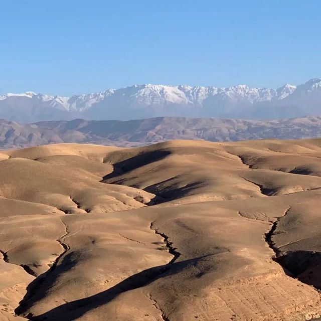 Agafay Desert: Magical Half-Day Lunch with Pool Swim - Argan Oil Cooperative Stop: Tea, Bread, and a Useful Context