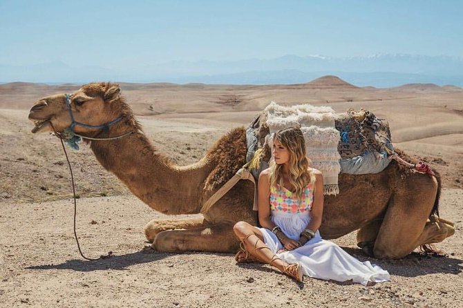Agafay Desert Package, Quad Bike, Camel Ride and Dinner Show - Dinner Under a Berber Tent: Tagine, Tea, and the Campfire Vibe