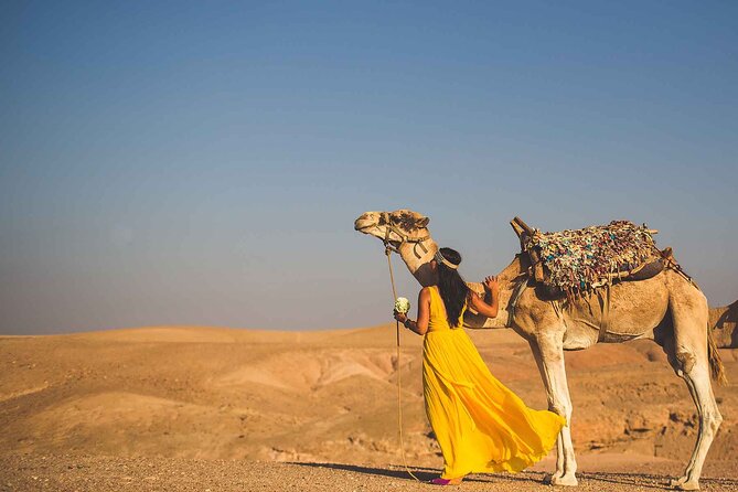 Agafay Desert Package, Quad Bike, Camel Ride and Dinner Show - The Dinner Show: Fire Display, Live Music, and What to Expect
