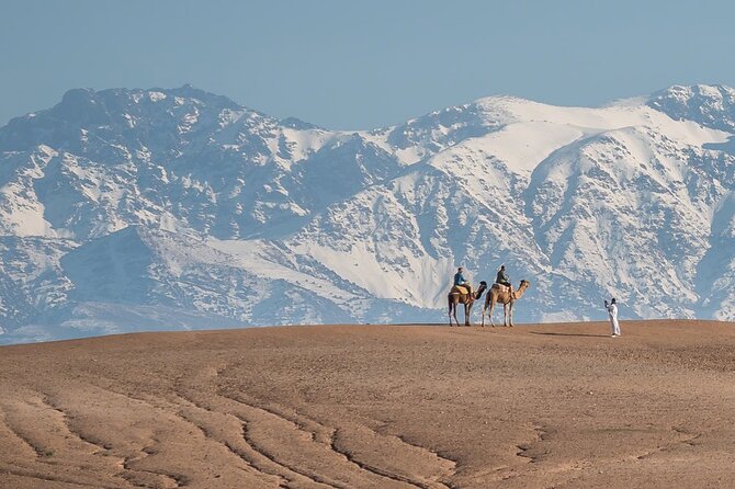 Agafay Desert Package, Quad Bike, Camel Ride and Dinner Show - Pricing and Value: Why This Package Often Works