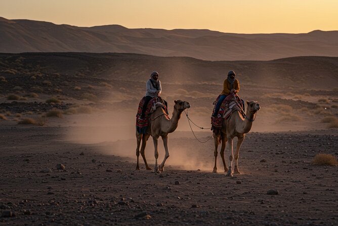 Agafay Desert Package, Quad Bike, Camel Ride with Dinner Show - Price and value: what $44.50 buys you in real terms