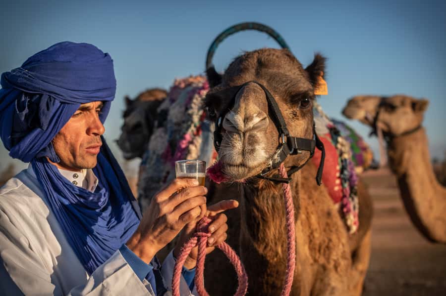 Agafay Desert: Quad Bike and Camel Ride Adventure Tour - Lunch Break: Berber Food in a Bivouac or Traditional House