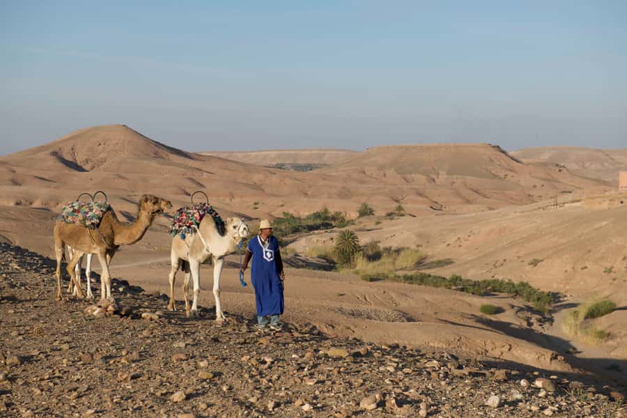 Agafay Desert: Quad Bike and Camel Ride Adventure Tour - Timing, Transfers, and the Small-Group Advantage