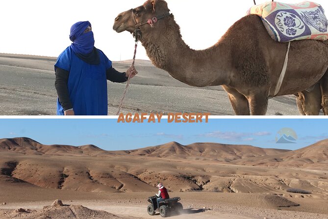 Agafay Desert : Quad Bike and Camel Riding Experience - Small-Group Reality: The Driver Makes a Difference