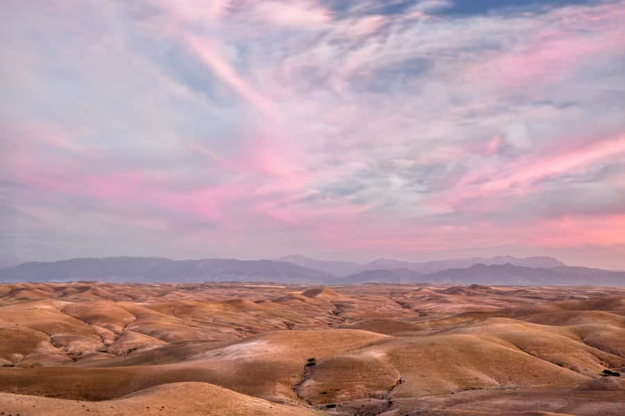 Agafay Desert: Quad Bike, Camel Ride and Dinner Show - Should you book the Agafay Desert Quad Bike, Camel Ride and Dinner Show?