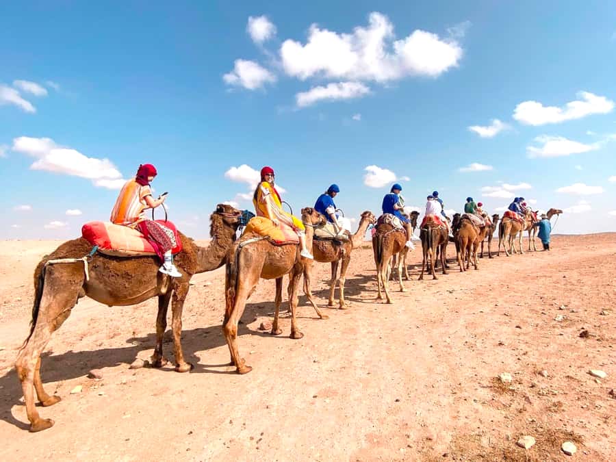 Agafay Desert: Quad Bike, Camel Ride and Dinner Show - The Moroccan dinner show: tajine, salad, fruits, and dance performance