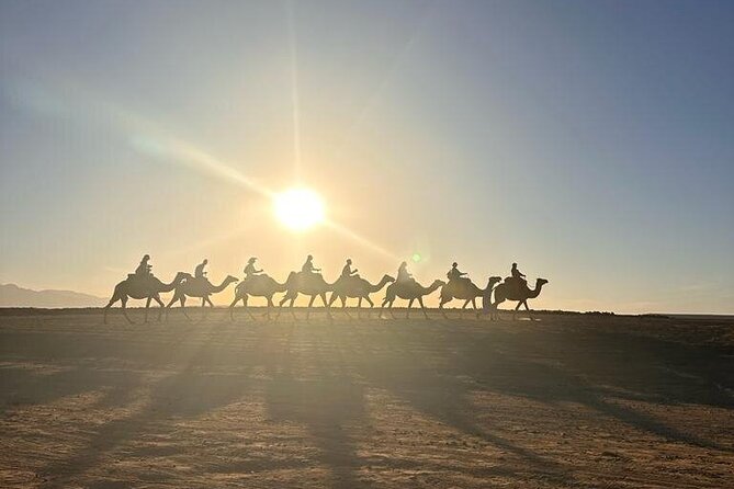 Agafay Desert: Quad Bike & Camel Ride & Magical Diner with Show - The magical dinner show: harira, tagine, mint tea, and fire
