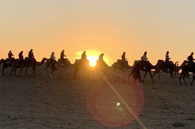Agafay Desert: Quad Bike & Camel Ride & Magical Diner with Show - Pickup, timing, and what 5 hours really means
