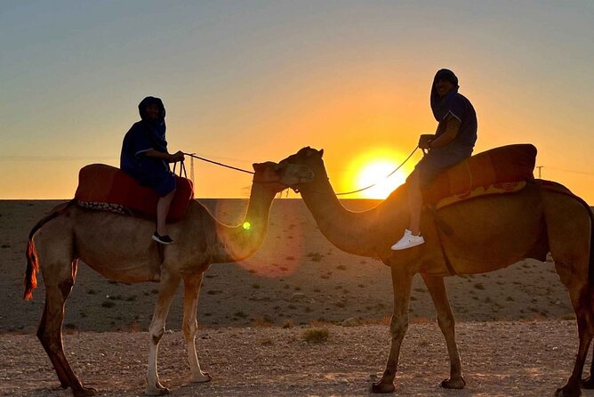 Agafay desert : Quad biking and camels and dinner with show - Quad Biking in Agafay: Adrenaline With a Safety Net