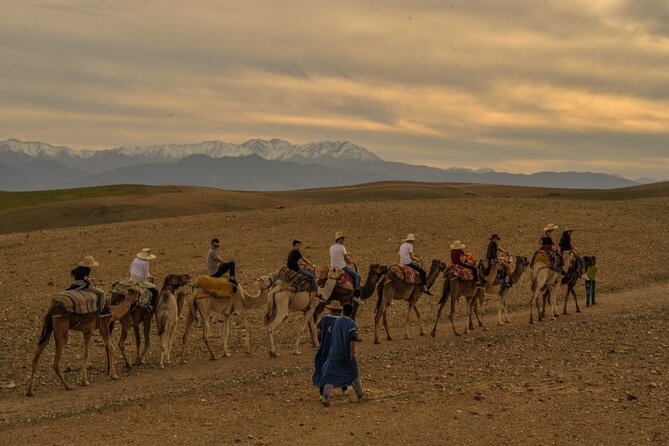 Agafay Desert - Quad camel and dinner show - Price and value: $46.53 for quad, camel, and a show